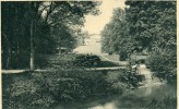 BAD NAUHEIM - Partie Im Park Mit Blick Auf Das Kurhaus - Bad Nauheim