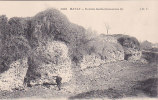 BAVAY RUINES GALLO ROMAINES Editeur JDV - Bavay