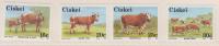 Ciskei 1987  Nikone Breed Of Cattle - Kühe