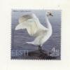 Mint Stamp  Bird Swan  2007  From Estonia - Swans