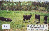 Télécarte JAPON * VACHE (513) COW * KOE * PHONECARD JAPAN * TELEFONKARTE - Vacas