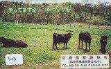 Télécarte JAPON * VACHE (513) COW * KOE * PHONECARD JAPAN * TELEFONKARTE - Cows