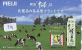 Télécarte JAPON * VACHE (518) COW * KOE * PHONECARD JAPAN * TELEFONKARTE * VACA * TAURUS * MEIJI - Cows