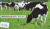 Télécarte JAPON * VACHE (529) COW * KOE * BULL * PHONECARD JAPAN * TELEFONKARTE * VACA * TAURUS * - Vacas