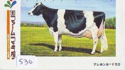 Télécarte JAPON * VACHE (530) COW * KOE * BULL * PHONECARD JAPAN * TELEFONKARTE * VACA * TAURUS * - Mucche