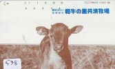 Télécarte JAPON * VACHE (538) COW * KOE * BULL * TAUREAU * STIER * PHONECARD JAPAN * TELEFONKARTE * VACA * TAURUS * - Vacas