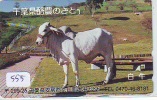 Télécarte JAPON * VACHE (555) COW * KOE * BULL * TAUREAU * STIER * PHONECARD JAPAN * TELEFONKARTE * VACA * TAURUS * - Koeien