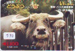 Télécarte JAPON * VACHE (570) COW * KOE * BULL * TAUREAU * STIER * PHONECARD JAPAN * TELEFONKARTE * VACA * TAURUS * - Mucche