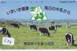 Télécarte JAPON * VACHE (578) COW * KOE * BULL * TAUREAU * STIER * PHONECARD JAPAN * TELEFONKARTE * VACA * TAURUS * - Vacas