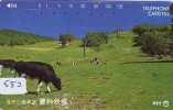 Télécarte JAPON * VACHE (582) COW * KOE * BULL * TAUREAU * STIER * PHONECARD JAPAN * TELEFONKARTE * VACA * TAURUS * - Kühe