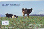 Télécarte JAPON * VACHE (584) COW * KOE * BULL * TAUREAU * STIER * PHONECARD JAPAN * TELEFONKARTE * VACA * TAURUS * - Cows