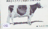 Télécarte JAPON * VACHE (586) COW * KOE * BULL * TAUREAU * STIER * PHONECARD JAPAN * TELEFONKARTE * VACA * TAURUS * - Kühe