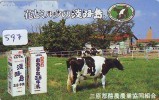 Télécarte JAPON * VACHE (597) COW * KOE * BULL * PHONECARD JAPAN * TELEFONKARTE * VACA * TAURUS * - Koeien