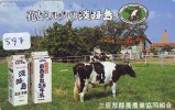 Télécarte JAPON * VACHE (597) COW * KOE * BULL * PHONECARD JAPAN * TELEFONKARTE * VACA * TAURUS * - Vacas