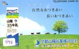 Télécarte JAPON * VACHE (598) COW * KOE * BULL * PHONECARD JAPAN * TELEFONKARTE * VACA * TAURUS * - Vaches