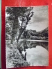 V7-73-savoie-aiguebelle-lac Du Vivier---beau Timbre--carte Photo - Aiguebelle