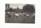 Carte 1910 La Vie Au Grand Air : La Cueillette Des Marguerites - Other & Unclassified