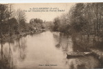 BALLANCOURT - Vue Sur L'Essonne Prise Du Pont Du Bouchet (animation) - Ballancourt Sur Essonne