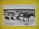 HAHNENKLEE (OBERHARZ),RODELSCHLANGE - Goslar