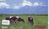 Télécarte JAPON * VACHE (606) COW * KOE * BULL * PHONECARD JAPAN * TELEFONKARTE * VACA * TAURUS * - Vaches