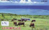 Télécarte JAPON * VACHE (608) COW * KOE * BULL * PHONECARD JAPAN * TELEFONKARTE * VACA * TAURUS * - Cows