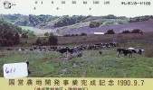 Télécarte JAPON * VACHE (611) COW * KOE * BULL * PHONECARD JAPAN * TELEFONKARTE * VACA * TAURUS * - Kühe