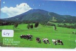 Télécarte JAPON * VACHE (614) COW * KOE * BULL * PHONECARD JAPAN * TELEFONKARTE * VACA * TAURUS * - Vaches