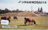 Télécarte JAPON * VACHE (620) COW * KOE * BULL * PHONECARD JAPAN * TELEFONKARTE * VACA * TAURUS * - Kühe