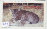 Télécarte JAPON * VACHE (624) COW * KOE * BULL * PHONECARD JAPAN * TELEFONKARTE * VACA * TAURUS * - Cows