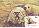 SEAL, 1990, CM. MAXI CARD, CARTES MAXIMUM, ROMANIA - Other & Unclassified