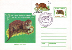 RODENT, 1999, COVER STATIONERY, ENTIER POSTAL, OBLITERATION CONCORDANTE, ROMANIA - Nager