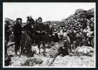 1995 Faroes Post Office Sepia Egg Collectors Postcard - Isole Faroer