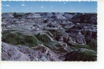 Horse Shoe Canyon Badlands Near Drumheller - Sonstige & Ohne Zuordnung