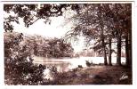 35. PAIMPONT. LA FORET . ETANG DES FORGES. - Paimpont