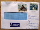 Cover Sent From Iceland To Lithuania, Birds Oiseaux Ducks - Lettres & Documents