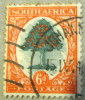 South Africa 1926 Orange Tree 6d - Used - Autres & Non Classés