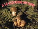 (889) Mushrooms - Champignons - Altri & Non Classificati