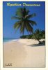 (321) Republica Dominicana Beach And Palm Tree - Dominicaanse Republiek