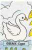 1 Carte De Jeu /  Cygne ( Blanc )  /  Basse-cour Poultry Swan Oiseau Bird  /  Animaux Animal  // IM 66 - Matériel Et Accessoires