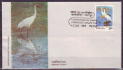 INDIA - BIRS - STORKS  - FDC - 1983 - Cicogne & Ciconiformi