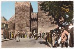 8.  TEBESSA - La Porte Solomon - 1964 - Tébessa