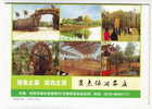 Badminton Court,waterwheel,fishing Angling Pool,CN 11 Saidian Leisure Farm Advertising Pre-stamped Letter Card - Bádminton