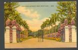 USA  CLUB HOUSE ENTRANCE  MIAMI JOCKEY CLUB  , OLD  POSTCARD - Miami