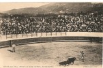 CERET    Corrida Aux Arènes De Céret .Les Banderilles - Ceret