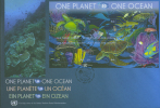 United Nation 2010, Turtlle, One Planet / One Ocean, FDC 17300 - Schildpadden