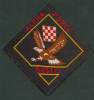 BOSNIA , HVO , ALFA FORCE , BUSICI - Patches