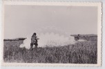 PAU (Environs) - Carte-photo Parachute Parachutisme 1956 - Fallschirmspringen