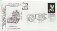 ROMANIA, 1985, Technical University Of Cluj-Napoca Departament Of Laboratory Of Cristallography, Cover, Sc. 3324 - Covers & Documents