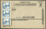 YUGOSLAVIA  - JUGOSLAVIJA  -  SLOVENIA - SHS - POST CARD  - 1919 - Mint - EXELENT - Ganzsachen