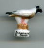 FEVES - FEVE - OISEAUX - LA MOUETTE RIEUSE - Animali